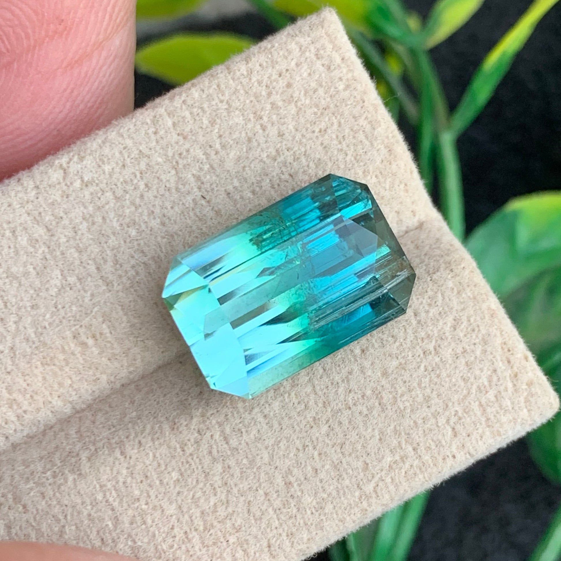 Premium loose bicolor tourmaline gemstone
Collector quality Afghan bicolor tourmaline stone
