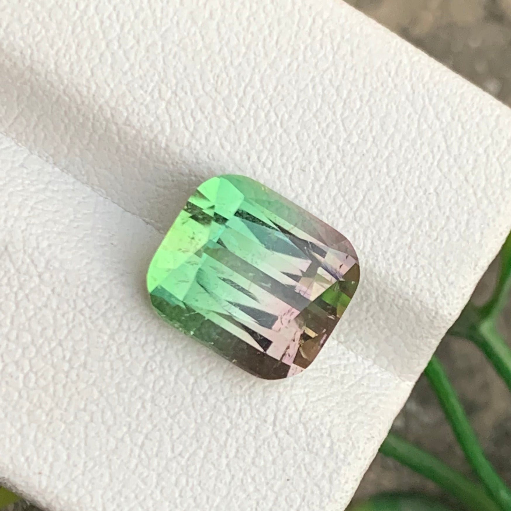 Rare Afghan watermelon tourmaline 6.25 carats
Pink green tourmaline cushion cut gemstone