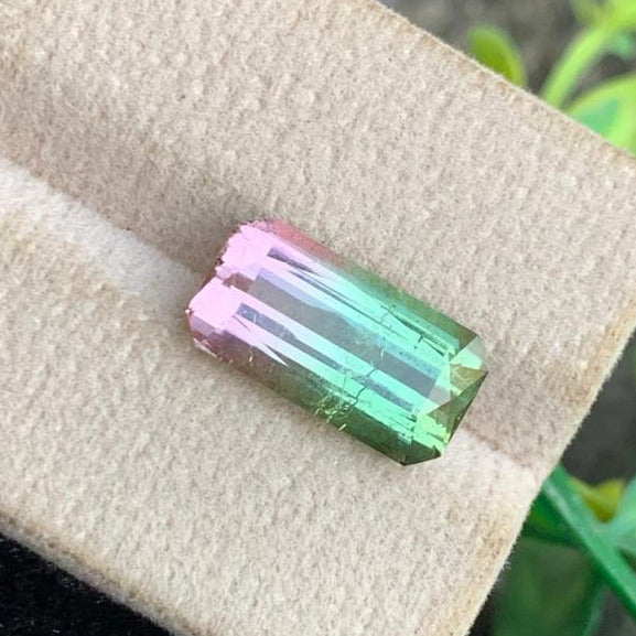 Scissor cut Afghan bicolor tourmaline gemstone
Rare pink green tourmaline loose stone