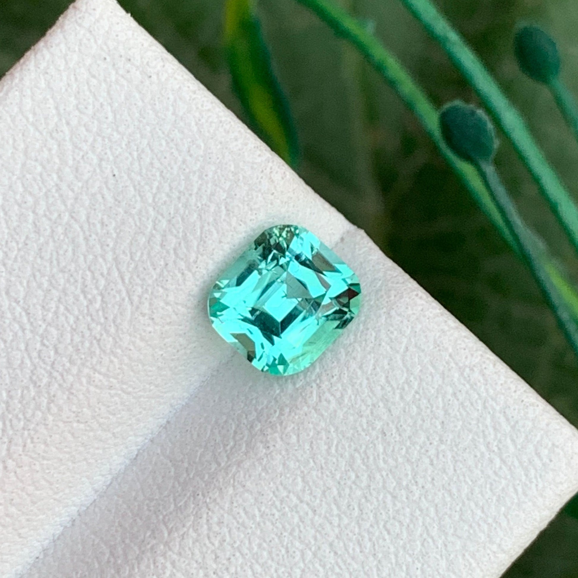 loose seafoam tourmaline
Seafoam Tourmaline
Seafoam Tourmaline Ring
Seafoam Green Tourmaline
Seafoam Tourmaline Jewelry
Cushion Cut Tourmaline
Natural Tourmaline from Afghanistan
Seafoam Tourmaline BVLA
