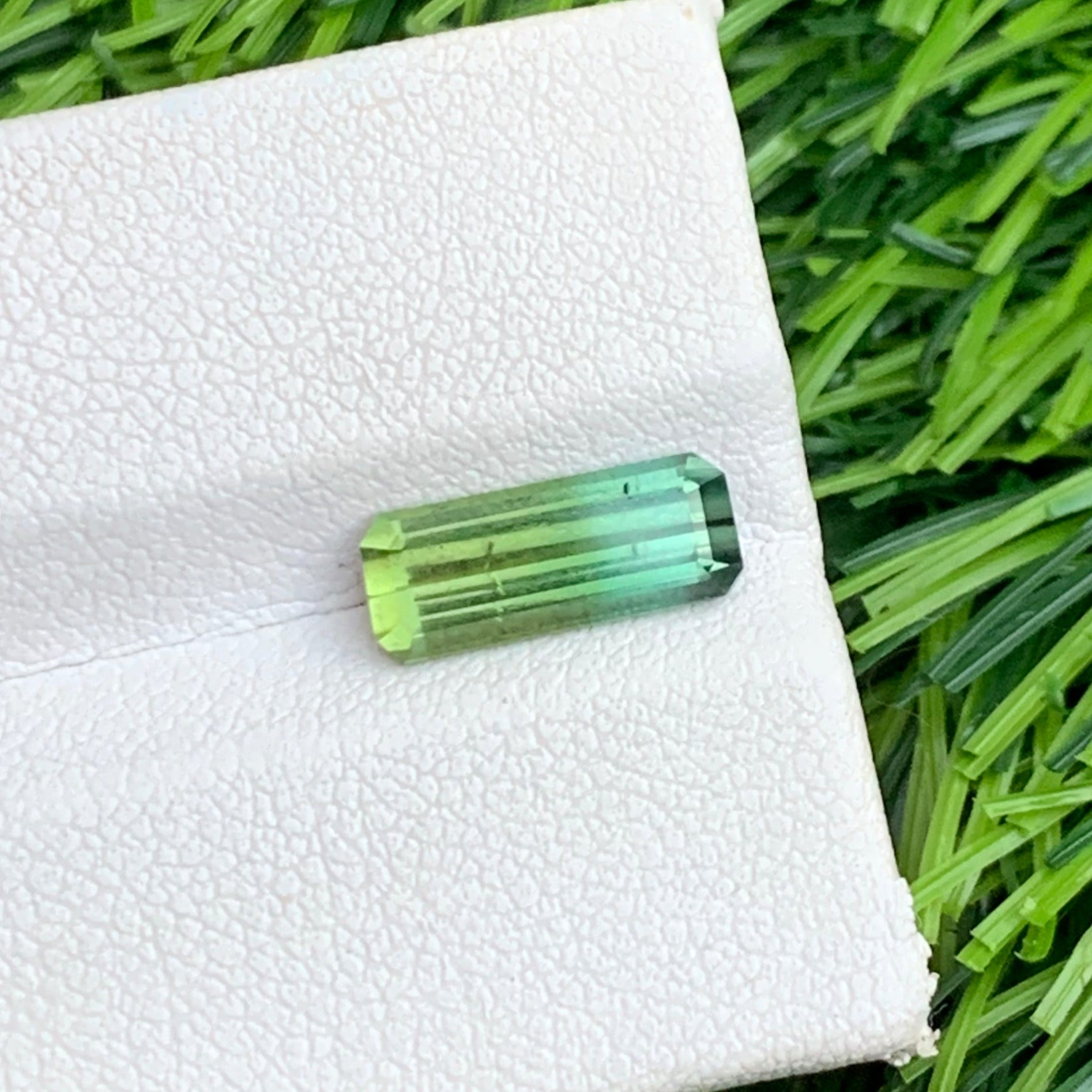 bicolor Tourmaline
Untreated Natural Bicolor Tourmaline Afghanistan

Soft Bicolor Tourmaline Gemstone Closeup