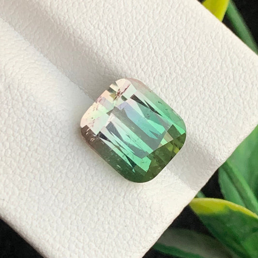 Bicolor Tourmaline ring
Bicolor Tourmaline pendant
Watermelon Tourmaline 6.25 carats cushion cut Afghan gemstone
Natural Afghan watermelon tourmaline pink green gemstone