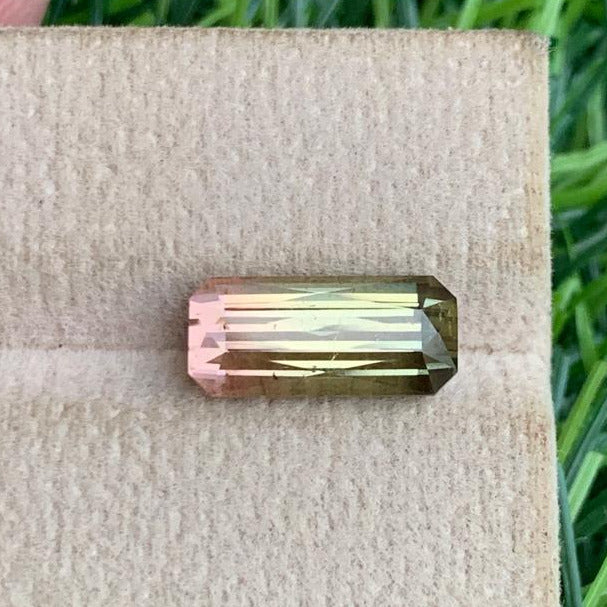 Bicolor Tourmaline ring
Bicolor Tourmaline pendant