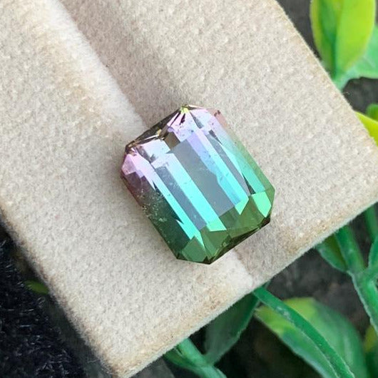  Bicolor Tourmaline ring
 Bicolor Tourmaline pendant