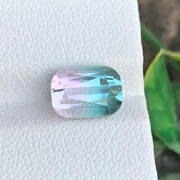 3.47 Carats Elegant Bicolor Tourmaline Gemstone from Afghanistan with Cushion Shape