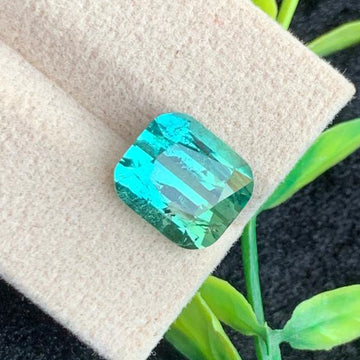 Bicolor Tourmaline Gemstone
Bicolor Tourmaline jewelry