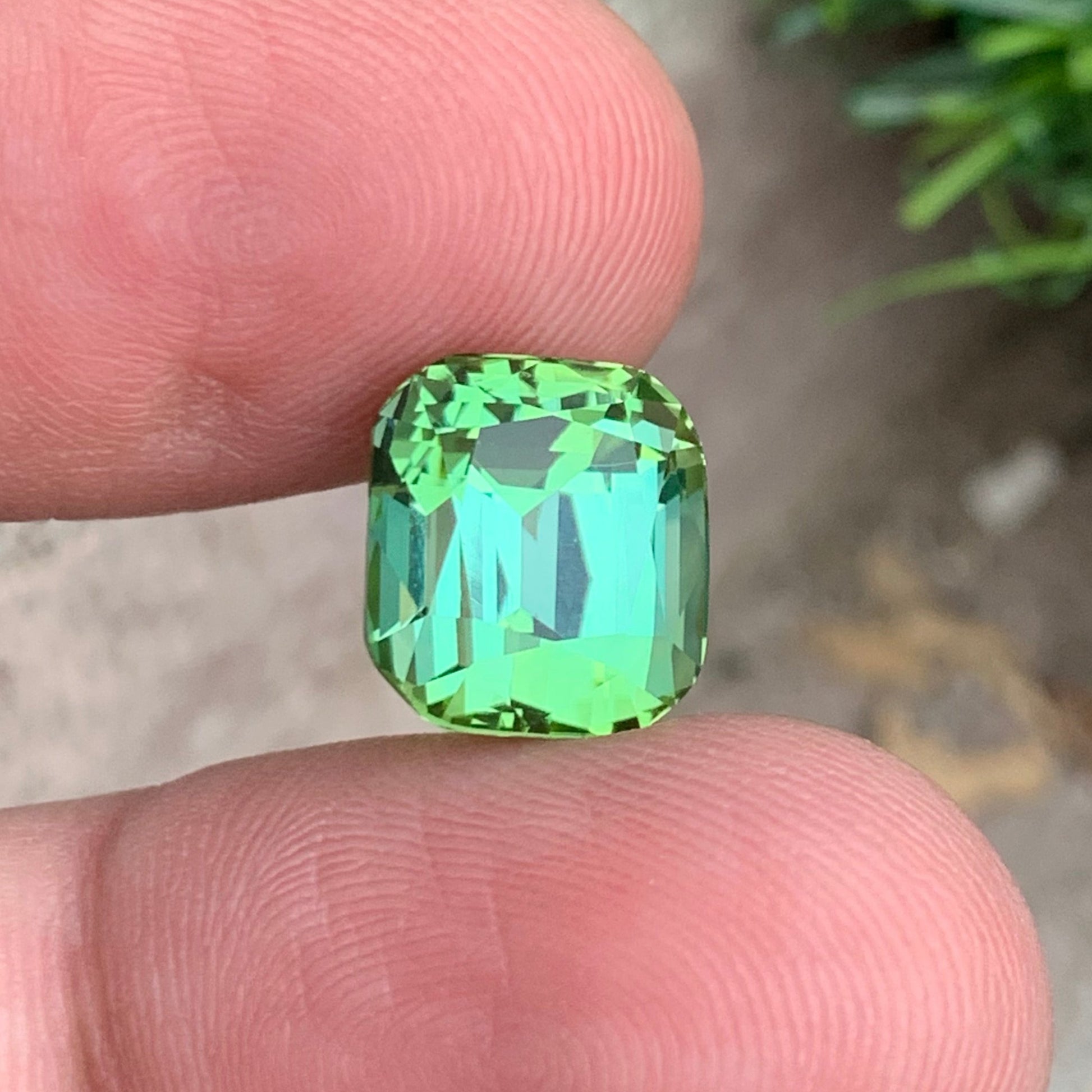 apple green tourmaline for sale usa
apple green tourmaline from brazil
apple green tourmaline found
apple green tourmaline gemstone
apple green tourmaline gold
apple green tourmaline gem
apple green tourmaline glass