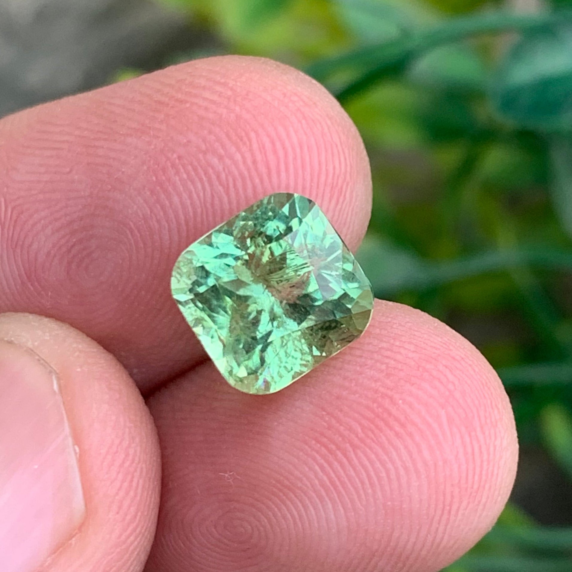 Apple Green Tourmaline 
Apple Green Tourmaline jewelry
apple green tourmaline gemstone cushion cut
mint green tourmaline afghanistan natural
