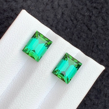 Bluish Green Tourmaline Pair
baguette cut tourmaline pair loose gemstones

untreated bluish green tourmaline pair