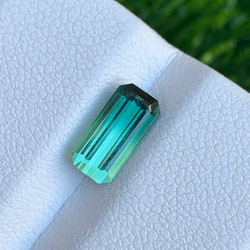 bicolor tourmaline from africa for sale
bicolor tourmaline from africa price
bicolor tourmaline from africa to usa
bicolor tourmaline from african countries
bicolor tourmaline from africa images
bicolor tourmaline from africa
