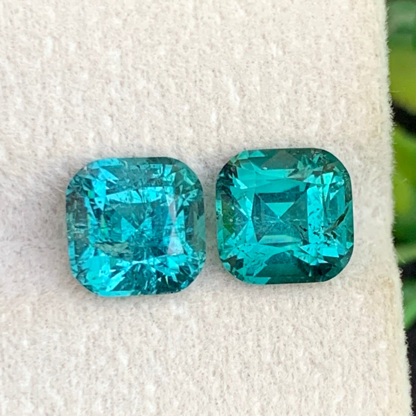 blue green lagoon tourmaline cushion cut gemstones

natural afghan lagoon tourmaline pair VVS clarity