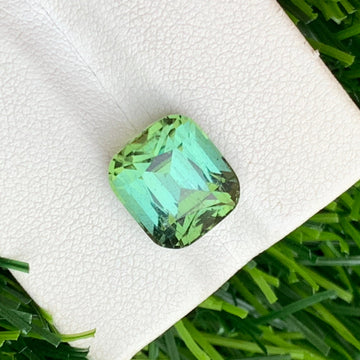 Bluish Green Tourmaline
bluish green tourmaline cushion cut 5.90 carats

natural afghan bluish green tourmaline gemstone