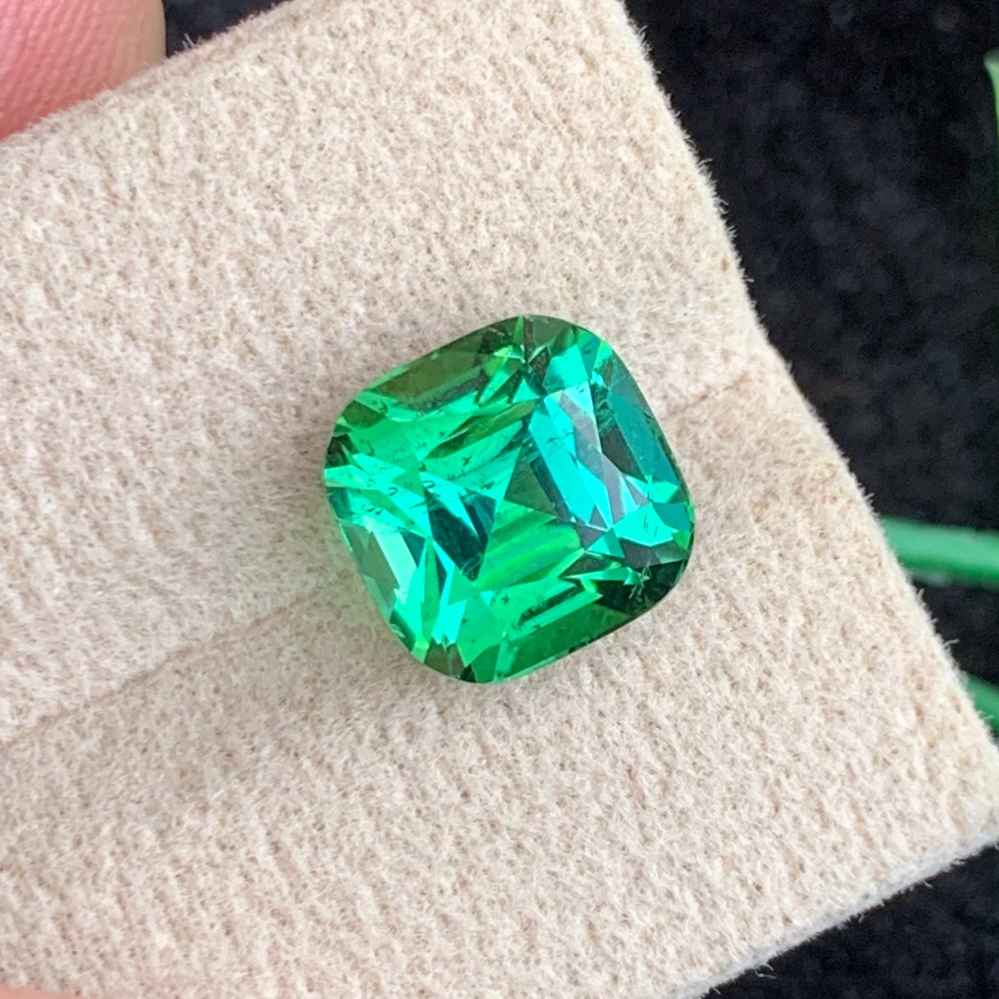 bluish green Tourmaline
bluish green tourmaline cushion cut gemstone
5.51 carat tourmaline afghanistan