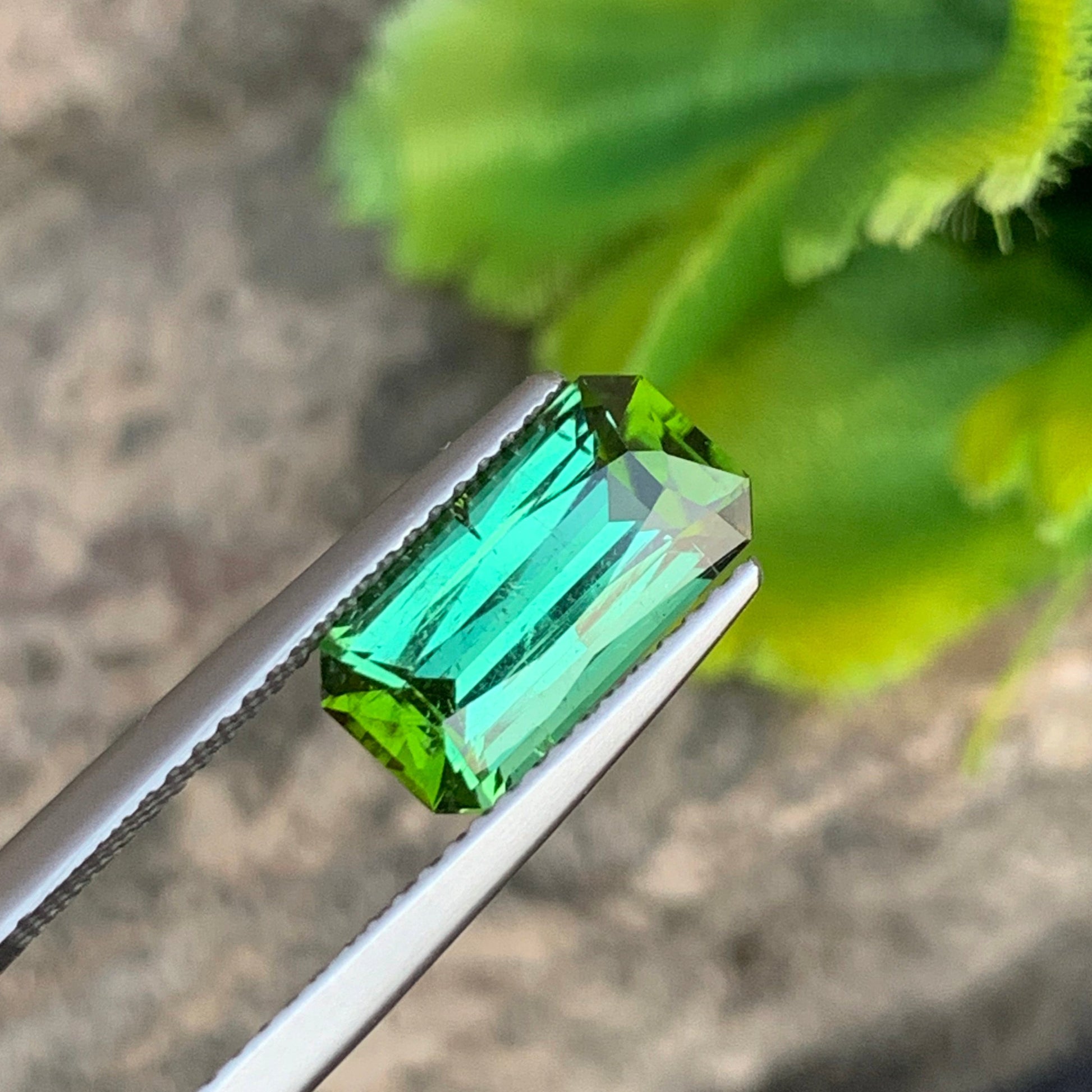 yellow green tourmaline
bright mint green tourmaline ring
bright mint green tourmaline bracelet
bright mint green tourmaline necklace
bright mint green tourmaline stone
bright mint green tourmaline crystal
bright mint green tourmaline agate
