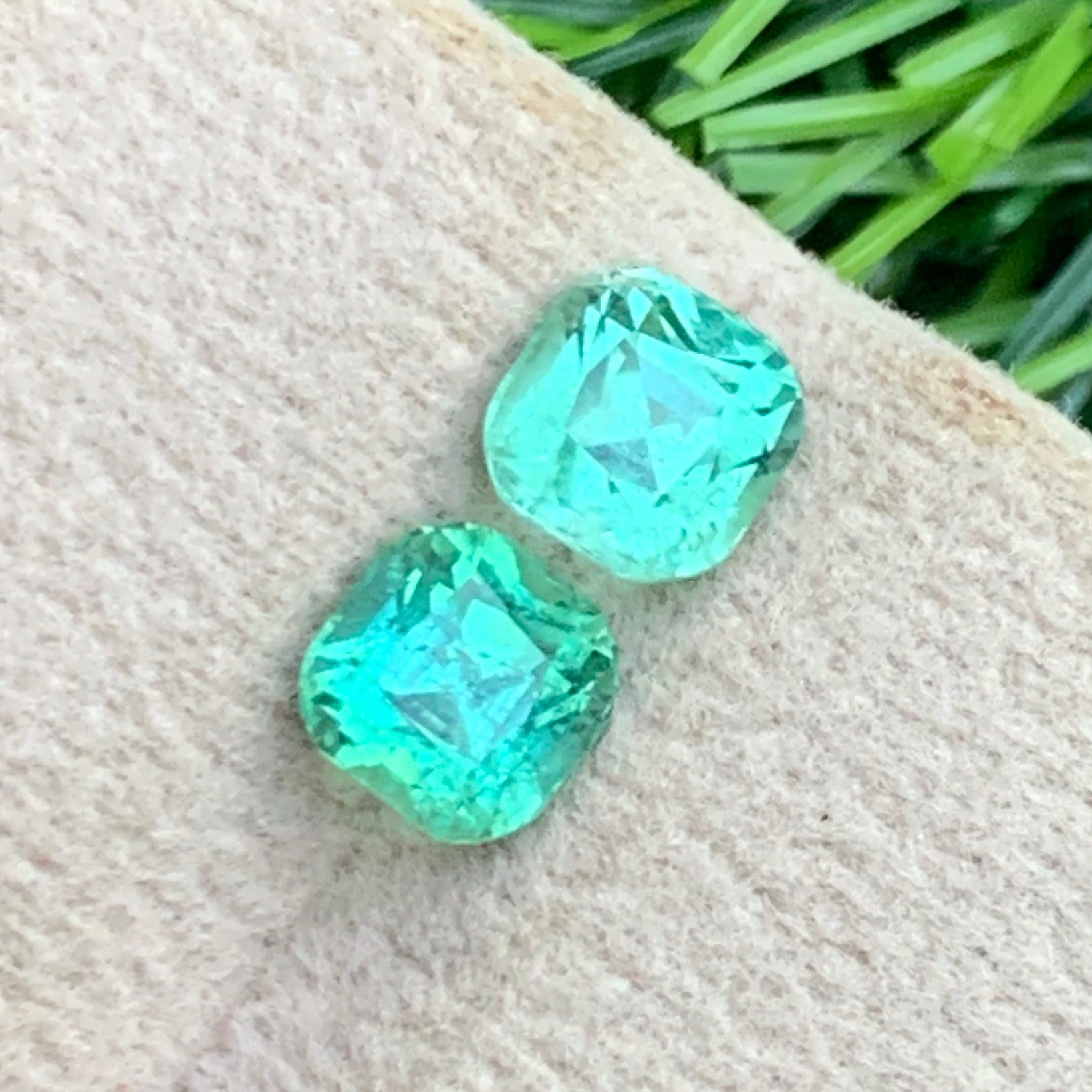 Apple Green Tourmaline ring
Apple Green Tourmaline pendant
cushion cut green tourmaline gemstone for earrings OneStep Gems
vivid apple green tourmaline gemstone eye clean natural stone