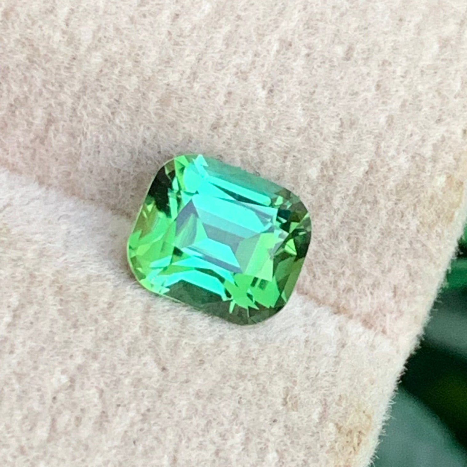 Forest Green Tourmaline
Forest Green Tourmaline jewelry