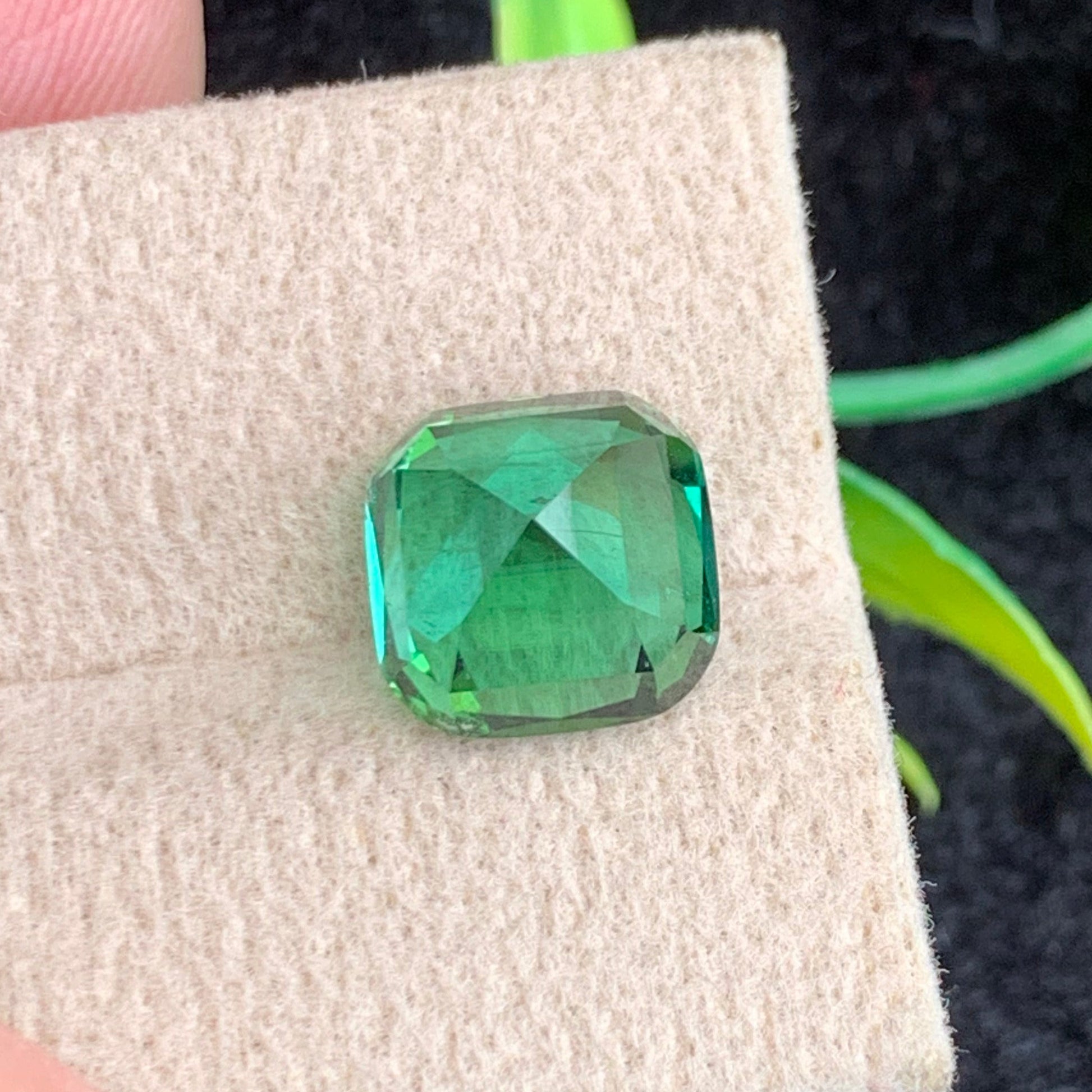 green blue tourmaline cushion cut
afghan tourmaline gemstone for jewelry
VVS tourmaline gemstone
