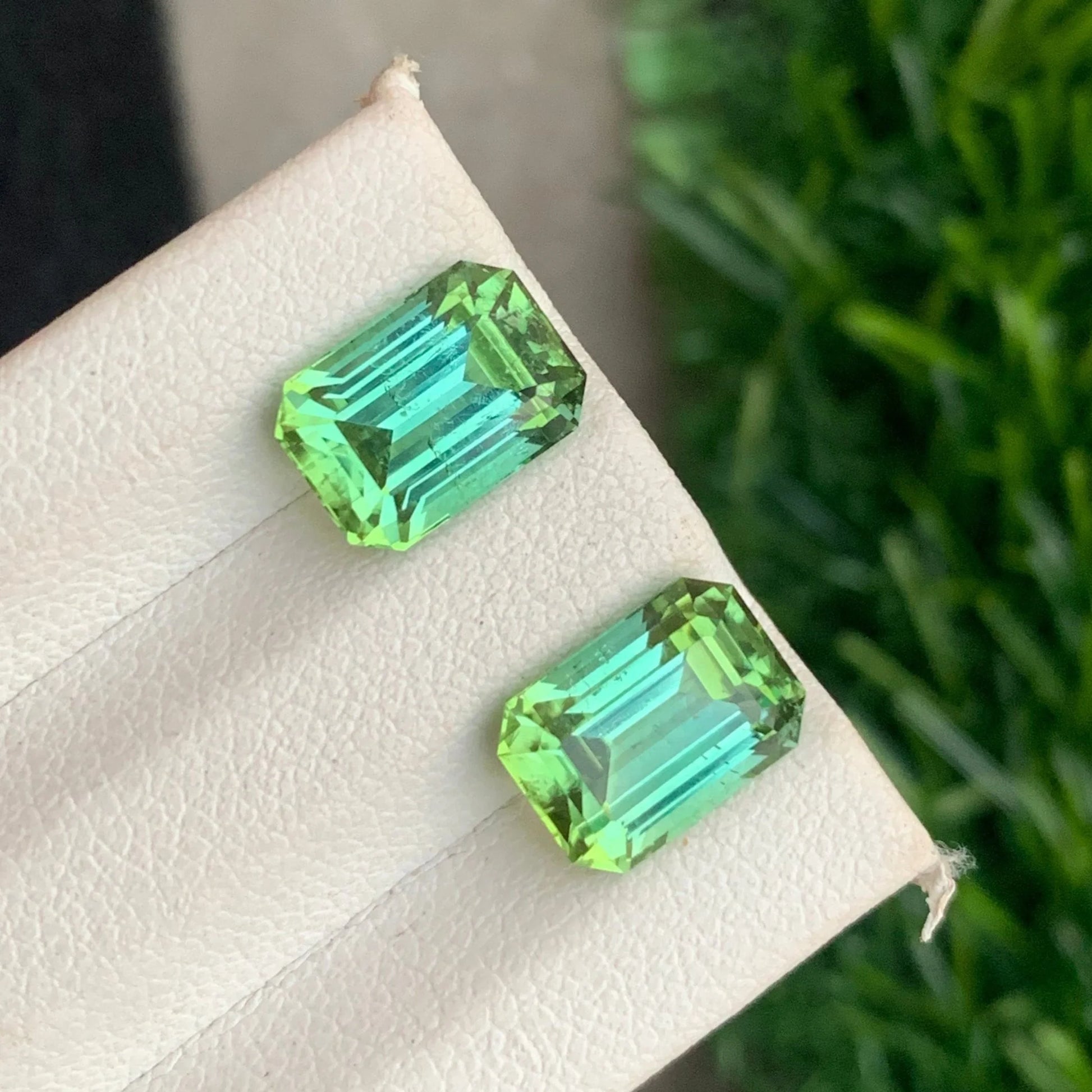 mint green tourmaline pair gemstone
