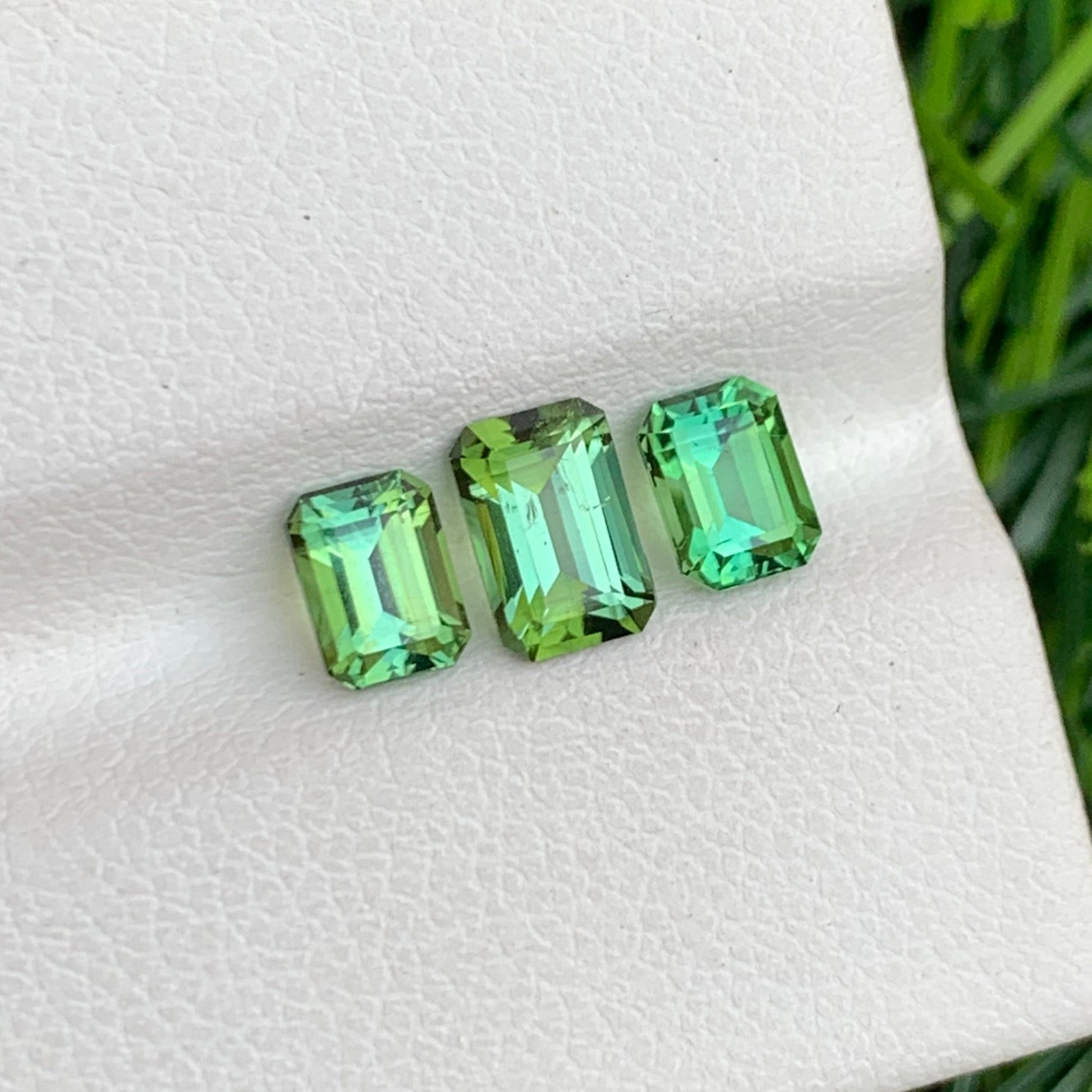 tourmaline ring set
mint green tourmaline
mint green tourmaline ring
mint green tourmaline meaning
mint green tourmaline engagement ring
mint green tourmaline earrings
mint green tourmaline stone