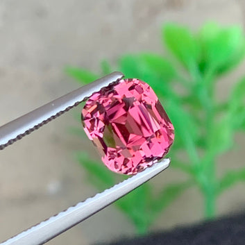 Vivid Pink Tourmaline
Vivid Pink Tourmaline jewelry
natural Afghan pink tourmaline loose gemstone eye clean
cushion cut pink tourmaline gemstone close up OneStep Gems