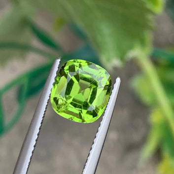 Natural Green Peridot Gemstone | 2.60 Cts Cushion Cut | One Step Gems