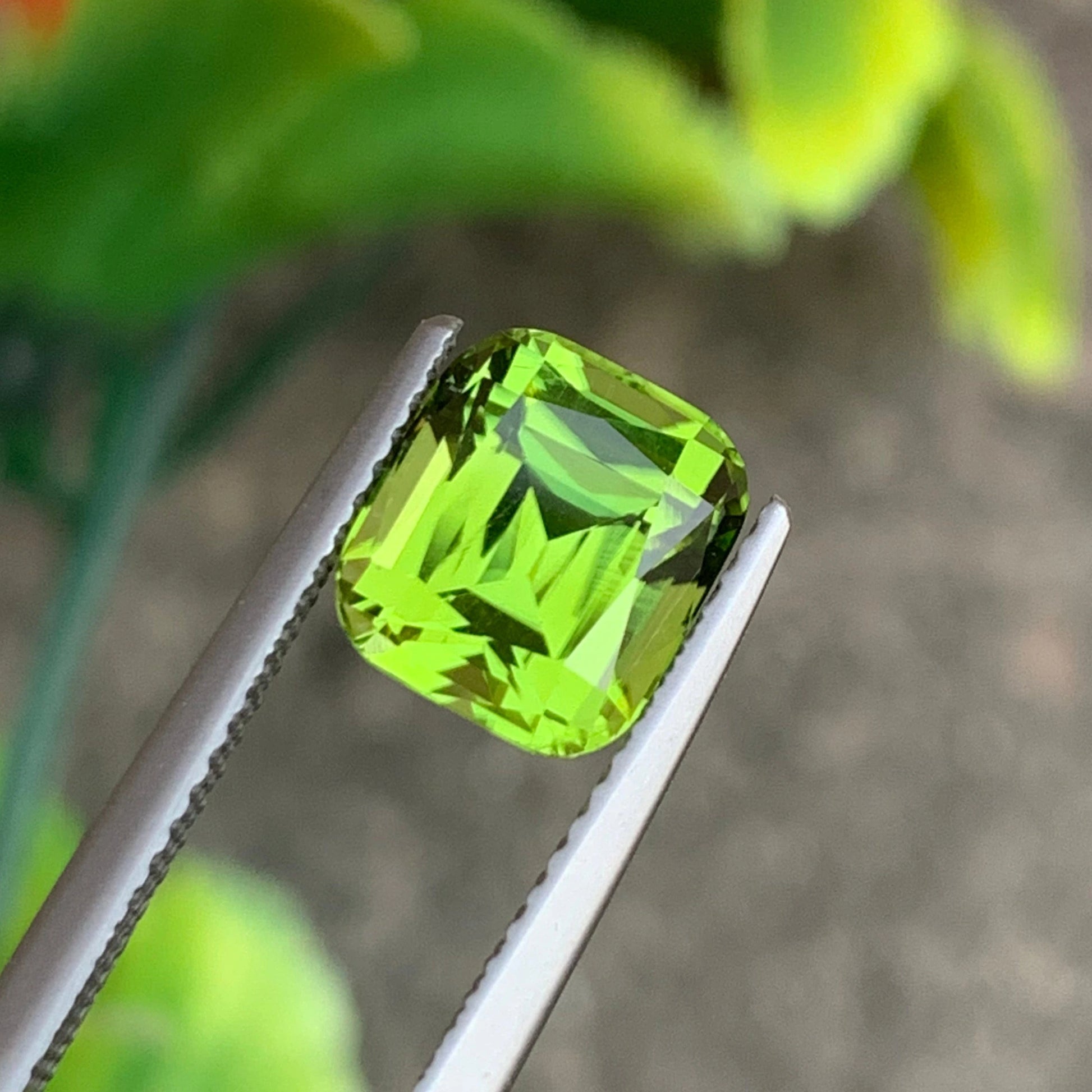 natural green peridot tourmaline gemstone gold
natural green peridot tourmaline gemstone green
natural green peridot tourmaline gemstone gems
natural green peridot tourmaline gemstone gemstone
natural green peridot tourmaline gemstone gold ring
