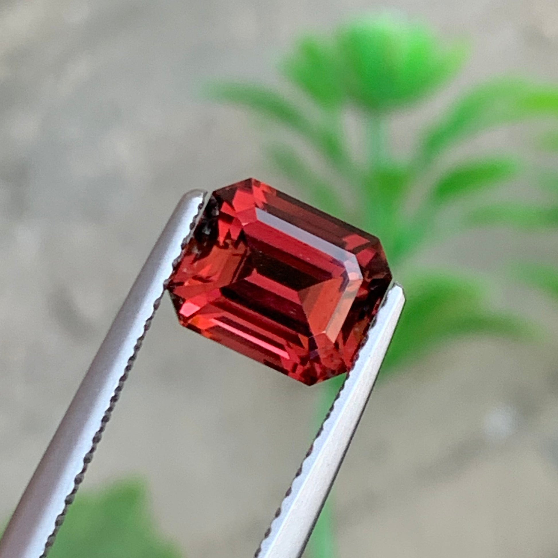 Red Tourmaline
natural red orange tourmaline gemstone africa

emerald cut red tourmaline loose gemston