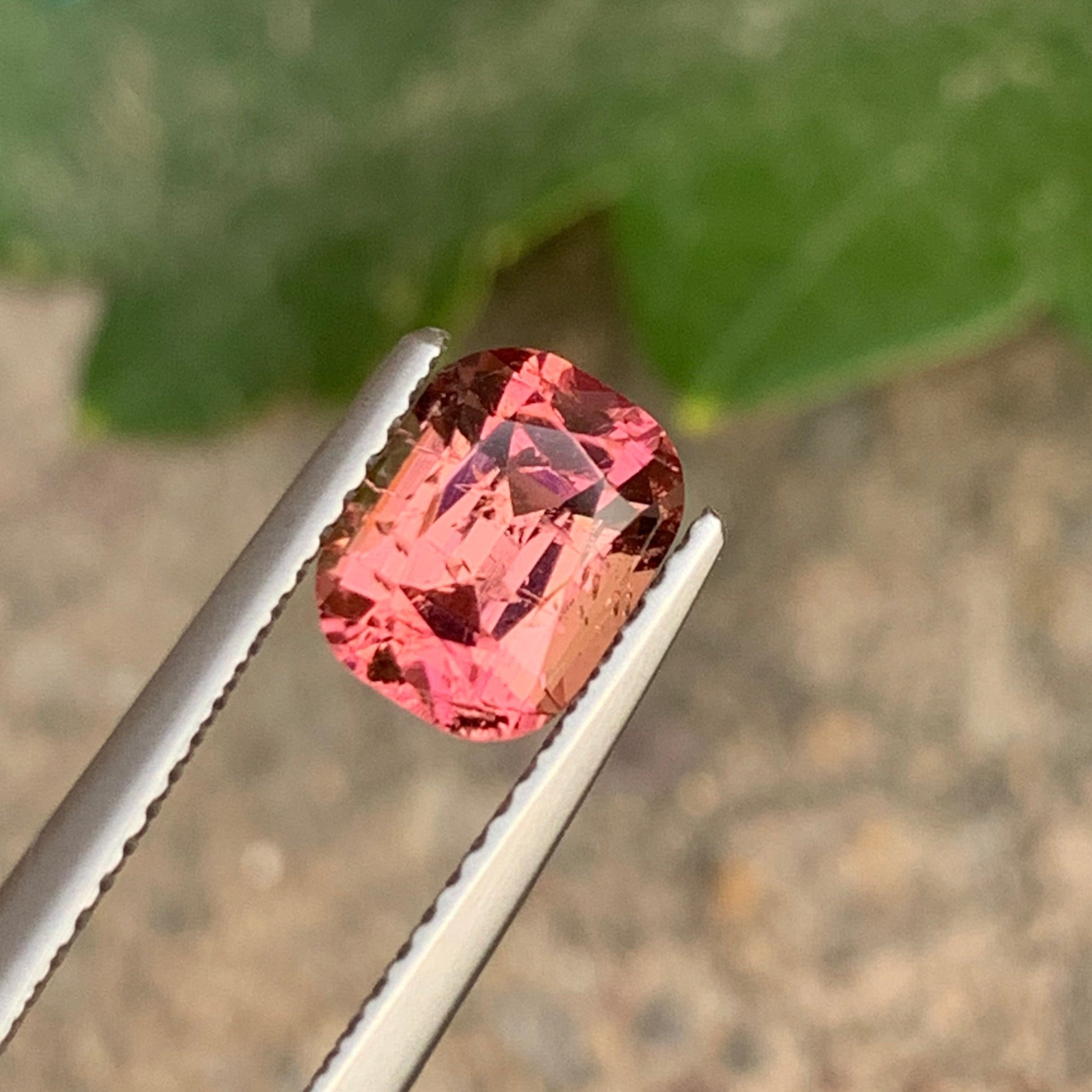 loose pink tourmaline
pink afghan tourmaline citrine
pink afghan tourmaline ceramic flat iron
pink afghan tourmaline core
pink afghan tourmaline diamond
pink afghan tourmaline drawing
pink afghan tourmaline diamond ring
pink afghan tourmaline diamond necklace
pink afghan tourmaline dragon