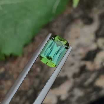 Natural Yellow Green Tourmaline – Long Cushion Cut 1.20 Carats | Onestep Gems