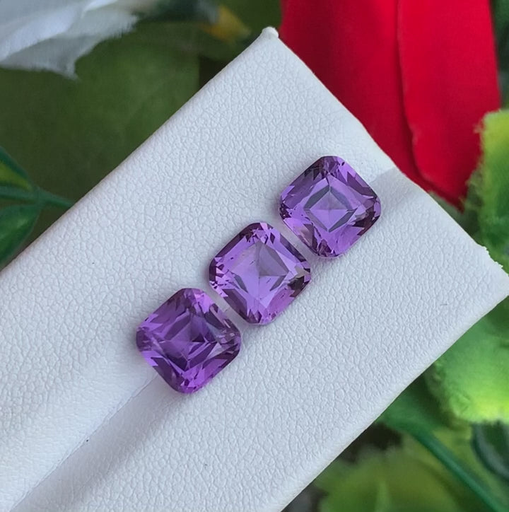 amethyst gemstone
amethyst gemstone meaning
amethyst gemstone price
amethyst gemstone ring
amethyst gemstone benefits
amethyst gemstone necklace
amethyst gemstone dice
amethyst gemstone bracelet