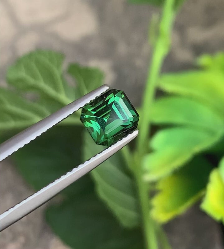 Dark Mint Green Tourmaline from Afghanistan, Emerald Cut 1.60 Carats