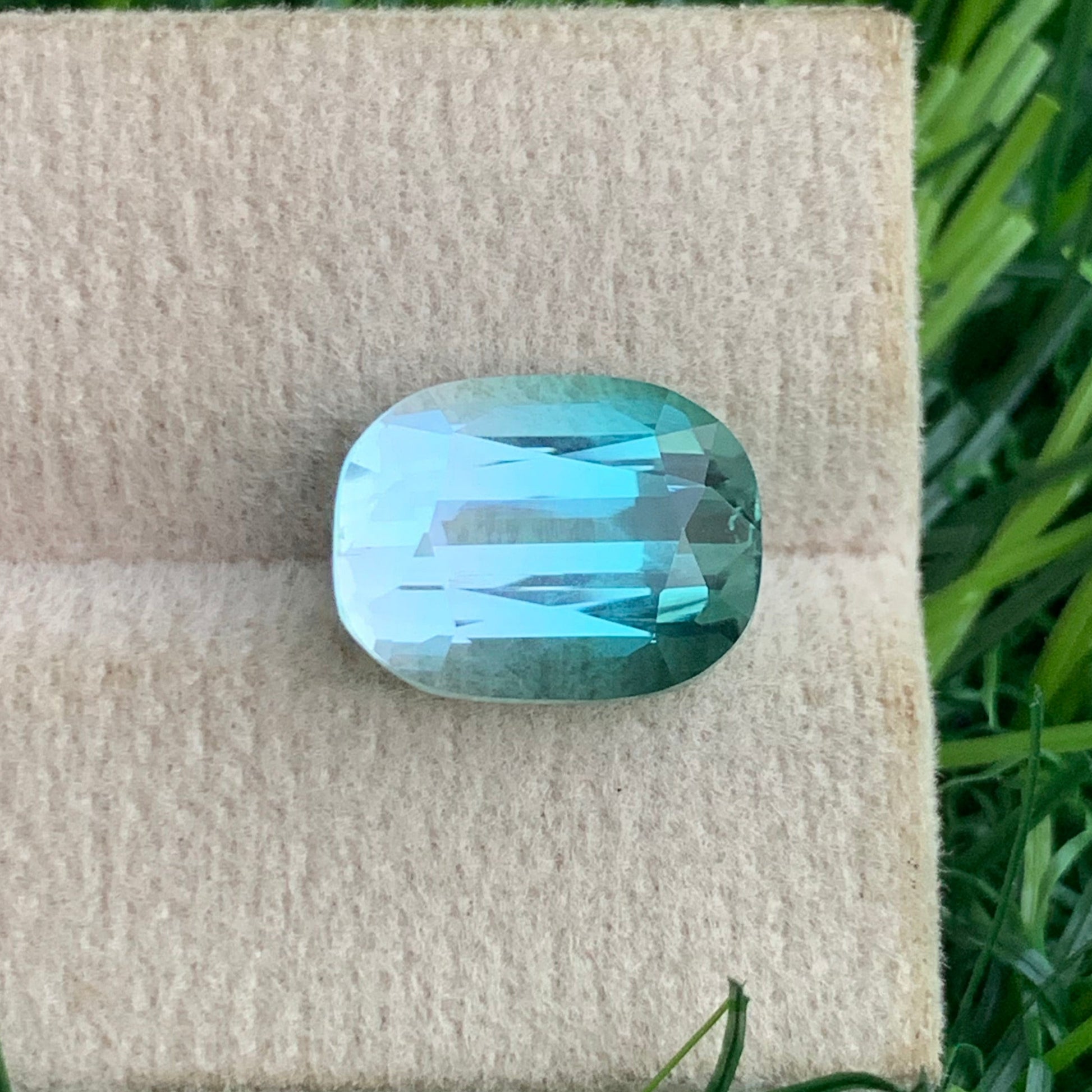 tourmaline cushion cut gemstone close view
luxury bicolor tourmaline ring stone