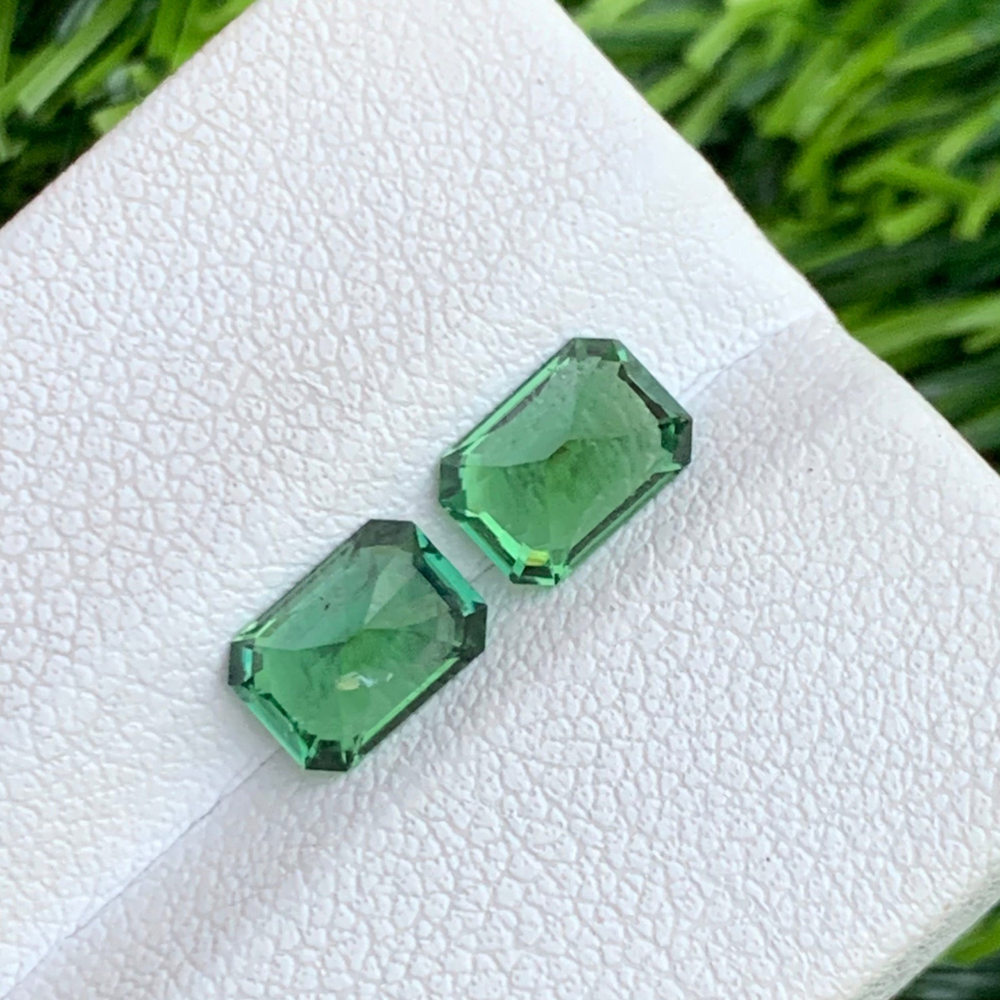 Mint Green Tourmaline Pair
untreated green tourmaline stones

matching green tourmaline pair