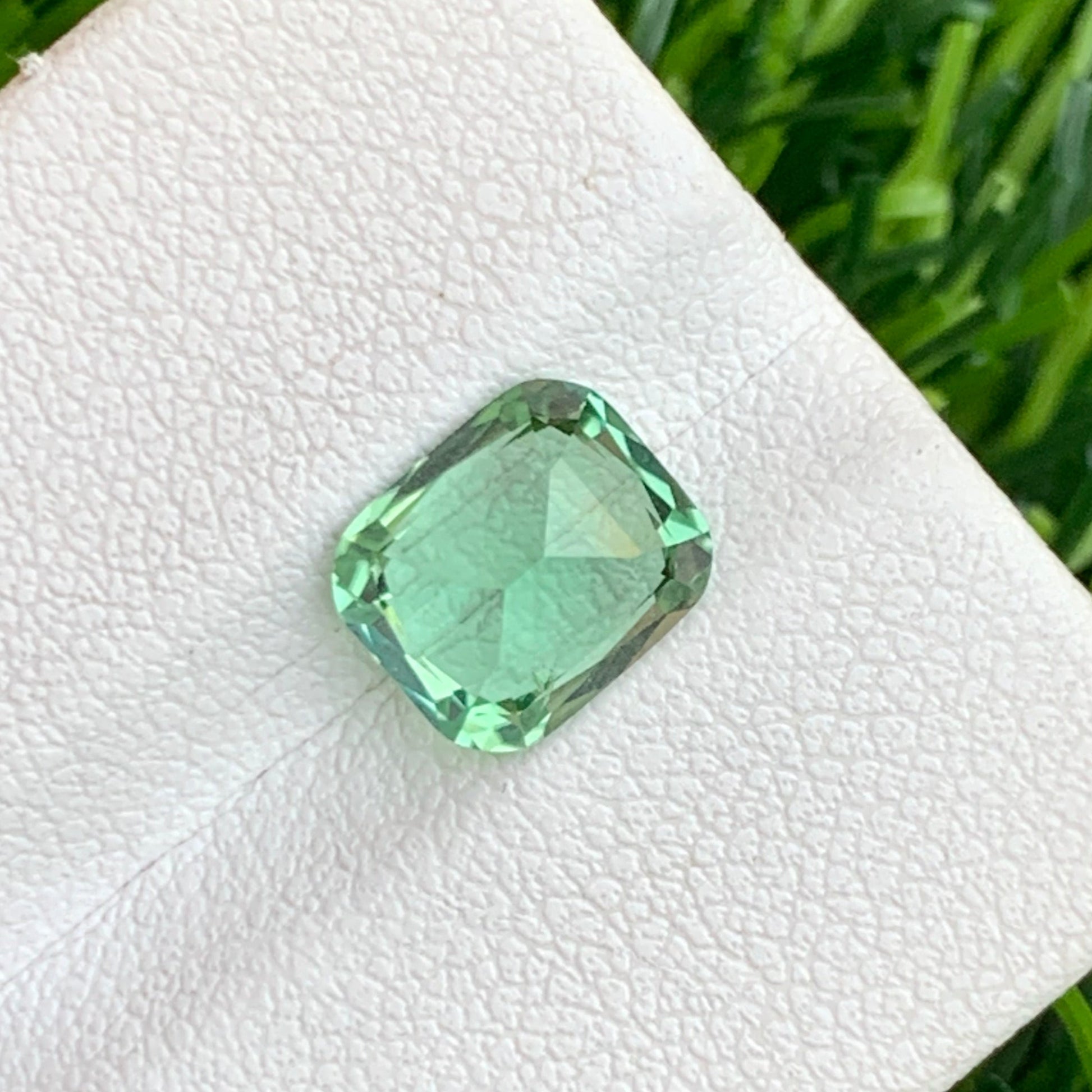 Apple Green Tourmaline
vvs clarity apple green tourmaline

cushion cut tourmaline for ring