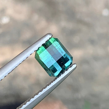 Natural Bicolor Tourmaline from Afghanistan, Pixel Cut 1.00 Cts